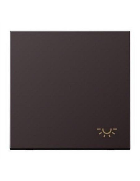 Push button with light symbol DARK JUNG AL 2990 LD