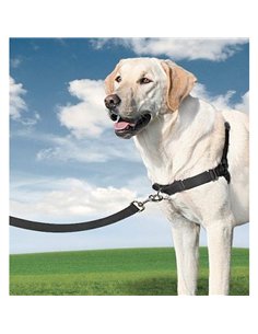 Arnés easy walk grande color negro 2