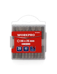 Puntas magnéticas h6 x 25 mm, juego de 20 piezas