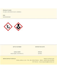 Tratamiento carcomas plus incoloro 5 l 2
