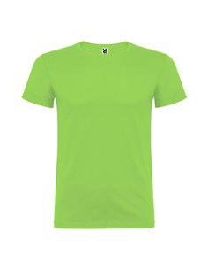 Camiseta beagle verde oasis t.s