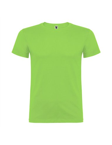 Camiseta beagle verde oasis t.s