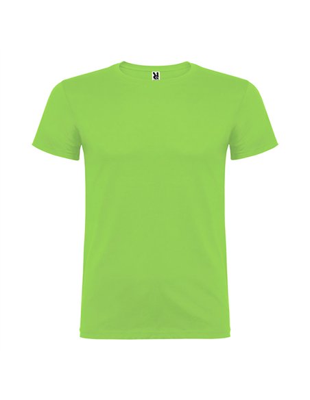 Camiseta beagle verde oasis t.l