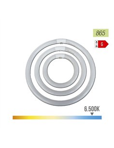 Runde Triphosphor-Leuchtstoffröhre, 22 W, 6500 K Kaltlicht, ø 21 cm 2