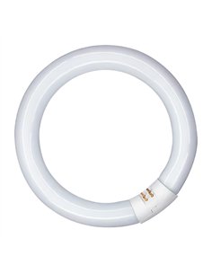 Tubo fluorescente circular 20w, g10q, luz fria ø210 mm