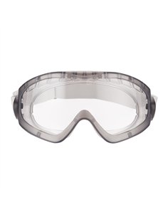 Gafas de seguridad 2890, lente incolora