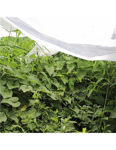 Tela de protección para cultivos 2 x 10 m 17gr/m²