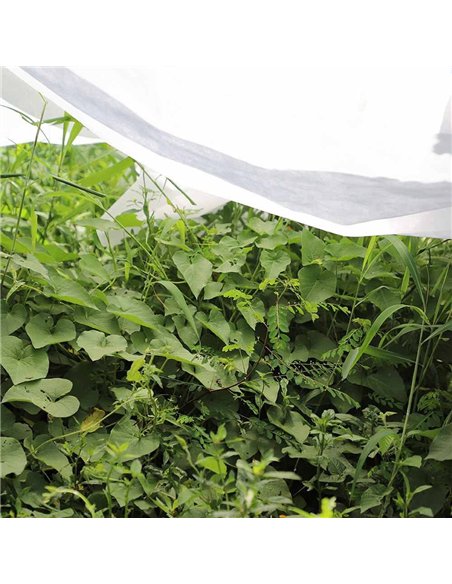 Tela de protección para cultivos 2 x 10 m 17gr/m²