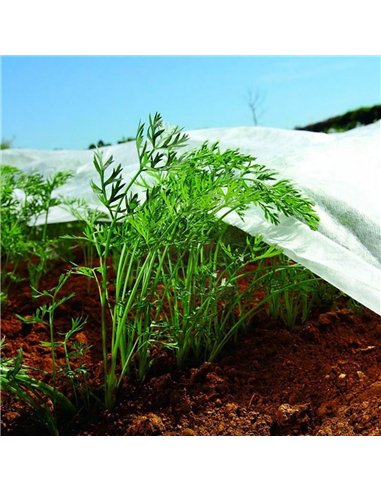 Tela de protección para cultivos 2 x 10 m 17gr/m²