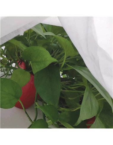 Tela de protección para cultivos 2 x 10 m 30gr/m²