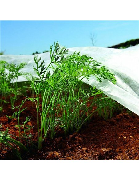 Tela de protección para cultivos 2 x 10 m 30gr/m²