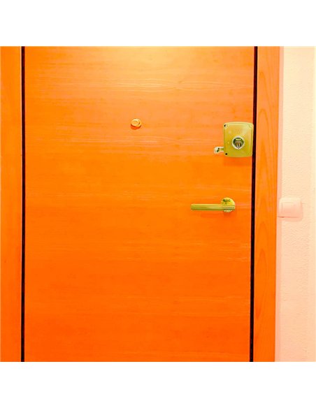 Cerradura sobreponer crs02 izquierda 50 x 100 mm pintado oro