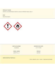 Spray autoarranque especial bajas temperaturas 200 ml 2