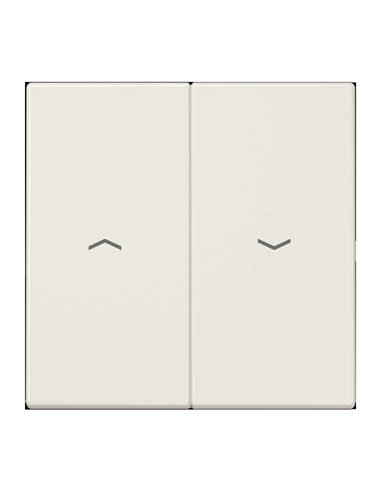 Double clé pour interrupteur ou déclencheur IVORY JUNG LS 995 P