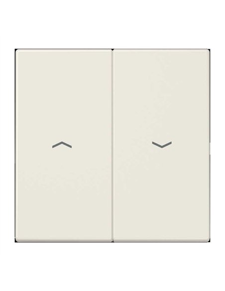 Double clé pour interrupteur ou déclencheur IVORY JUNG LS 995 P