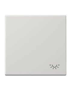 Push button with light symbol GRAY LIGHT JUNG LS 990 L LG