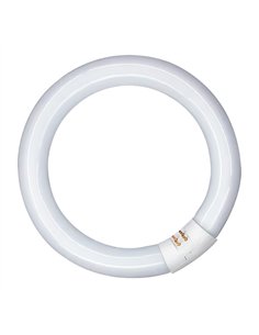 Runde Triphosphor-Leuchtstoffröhre, 22 W, 6500 K Kaltlicht, ø 21 cm