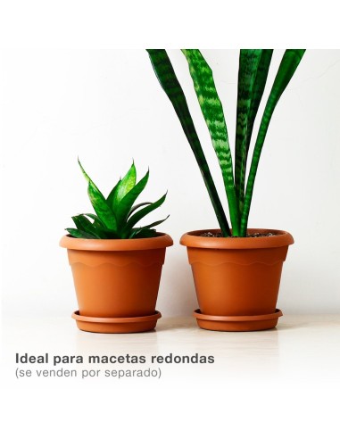 Plato para maceta redonda Terra Ø600mm Marrón