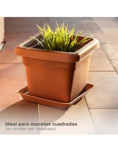 Plato para maceta cuadrada Terra 440mm Marrón 2