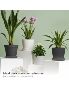 Plato para cuenco y maceta Tes y Doric Ø380mm Blanco 2