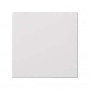 Placa ciega individual blanco SIMON 50010800-030