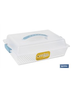 TARTERA RECTANGULAR AZUL OPACA PAVLOVA CON ASAS 38 X 28 X 13 CM venta unitaria