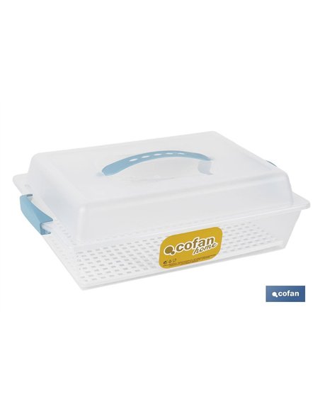 TARTERA RECTANGULAR AZUL OPACA PAVLOVA CON ASAS 38 X 28 X 13 CM venta unitaria