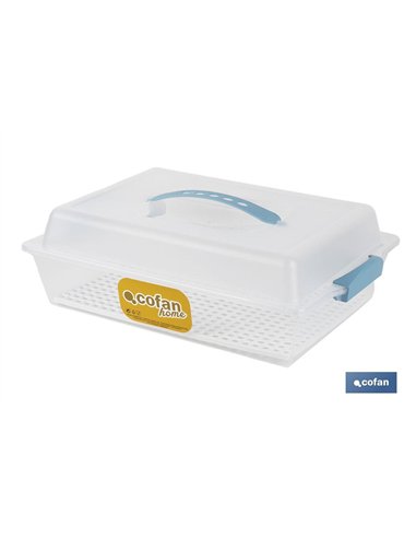 TARTERA RECTANGULAR AZUL OPACA PAVLOVA CON ASAS 38 X 28 X 13 CM venta unitaria