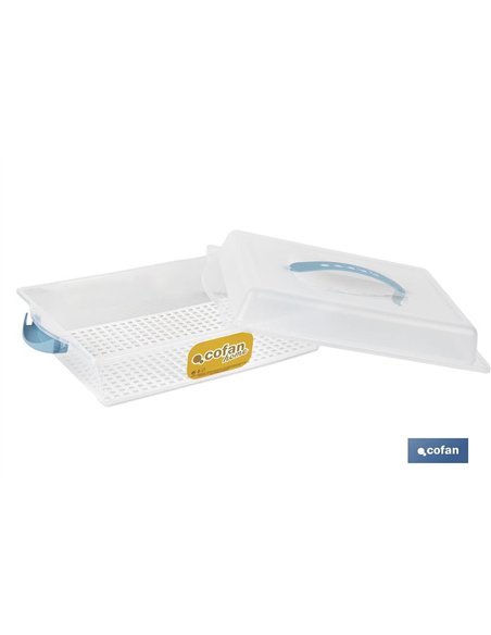 TARTERA RECTANGULAR AZUL OPACA PAVLOVA CON ASAS 38 X 28 X 13 CM venta unitaria