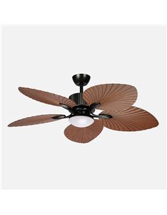 Ventilador Dc Torcal 24w Negro/roble 5aspas 6vel 130d Luz Opcional 2880lm 300045006500Kk Remoto+memoria+temporizador