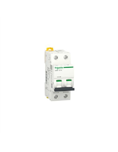 iC60N 2P  1A  B