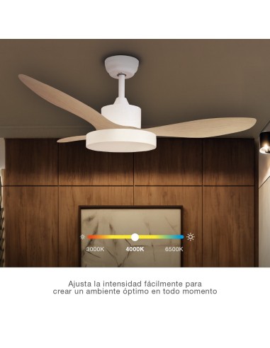 Ventilatore da soffitto Biula con luce CCT regolabile e telecomando Ø122 cm 3 pale DC Bianco