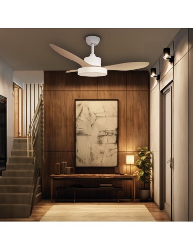Ventilatore da soffitto Biula con luce CCT regolabile e telecomando Ø122 cm 3 pale DC Bianco