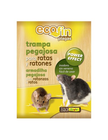 Piège collant pour rats et souris, haute efficacité et utilisation facile