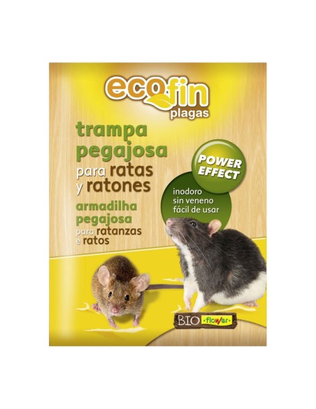 Piège collant pour rats et souris, haute efficacité et utilisation facile
