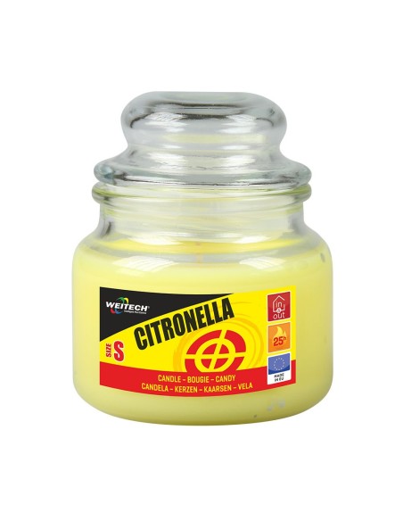 Zitronella Kerze 90 g in Glas