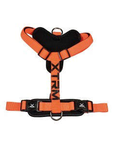 X-TRM Cronos Neon Flash Orange Harness, T-M 20 mm x 46-75 cm