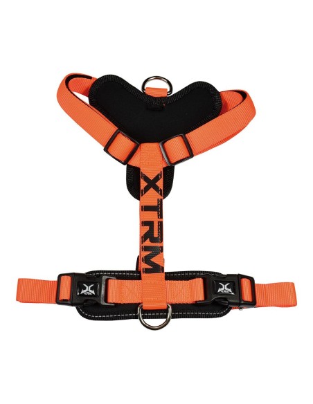 Arnés X-TRM Cronos Neon Flash Naranja, T-M 20 mm x 46-75 cm
