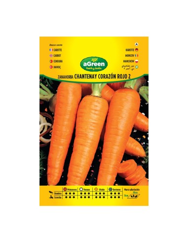 Pacchetto di semi di carota Chantenay Cuore Rosso 2