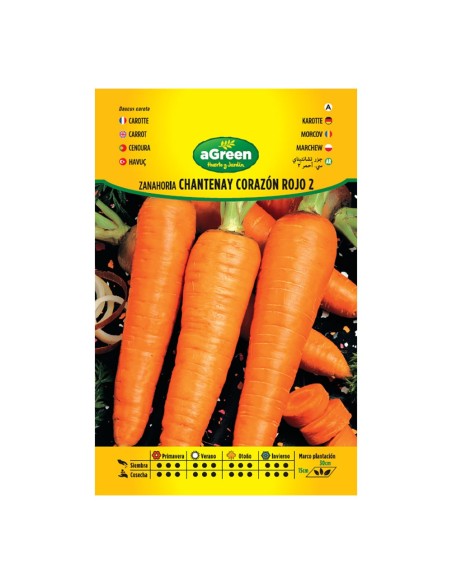 Pacchetto di semi di carota Chantenay Cuore Rosso 2