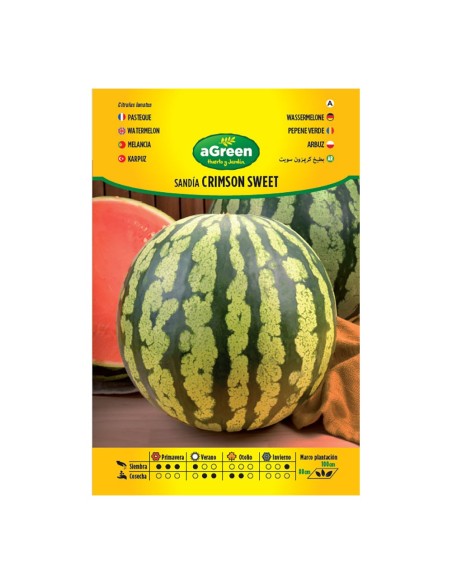 Sobre con semillas de sandía Crimson Sweet 5-8 kg