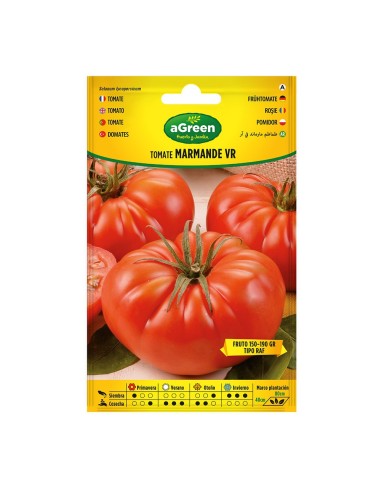 Packet of Marmande VR Tomato Seeds from Holland