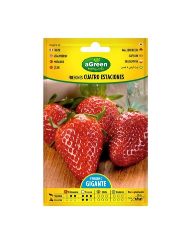 Sobre de semillas de fresones 4 estaciones - Pack de 10 unidades
