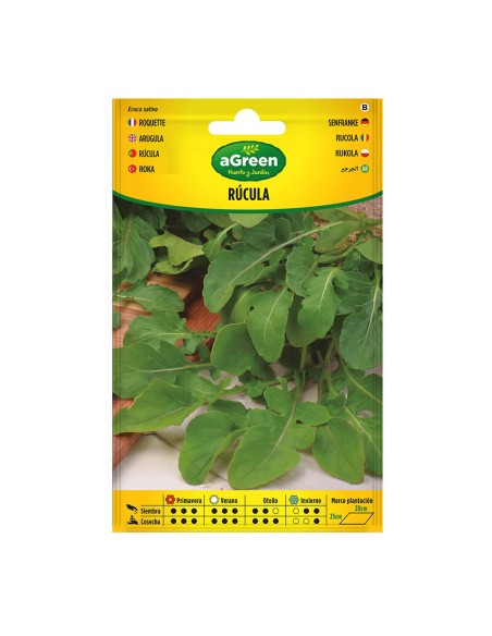 Packet of arugula seeds - easy and fast cultivation