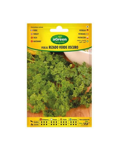 Pacote de sementes de salsa crespa verde escura - 100 unidades