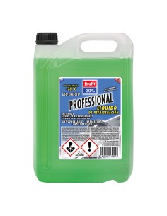 Anticongelante 30% profissional 5 l verde