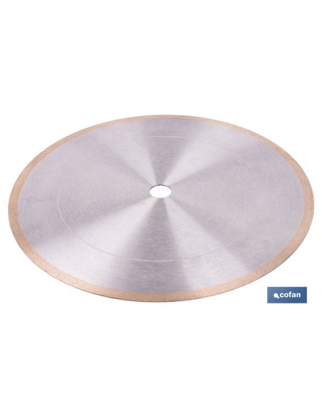 Porcelain disc for table saws 350mm - H25.4