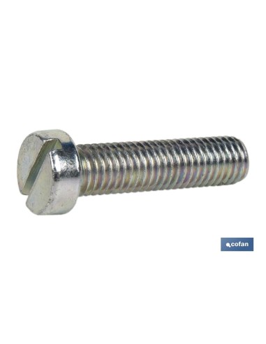 Pack mit 500 DIN-84 C-6 M-3 x 6 Z Schrauben aus verzinktem Stahl