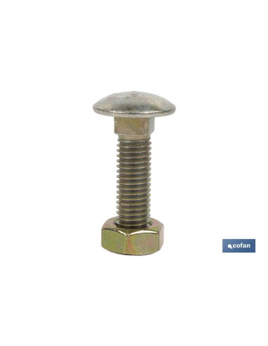 Pack de 50 vis agricoles C-8.8/934 avec écrou M-10X30
