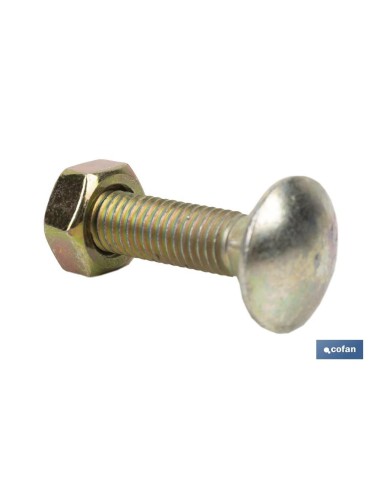 Pack de 50 vis agricoles C-8.8/934 avec écrou M-10X30